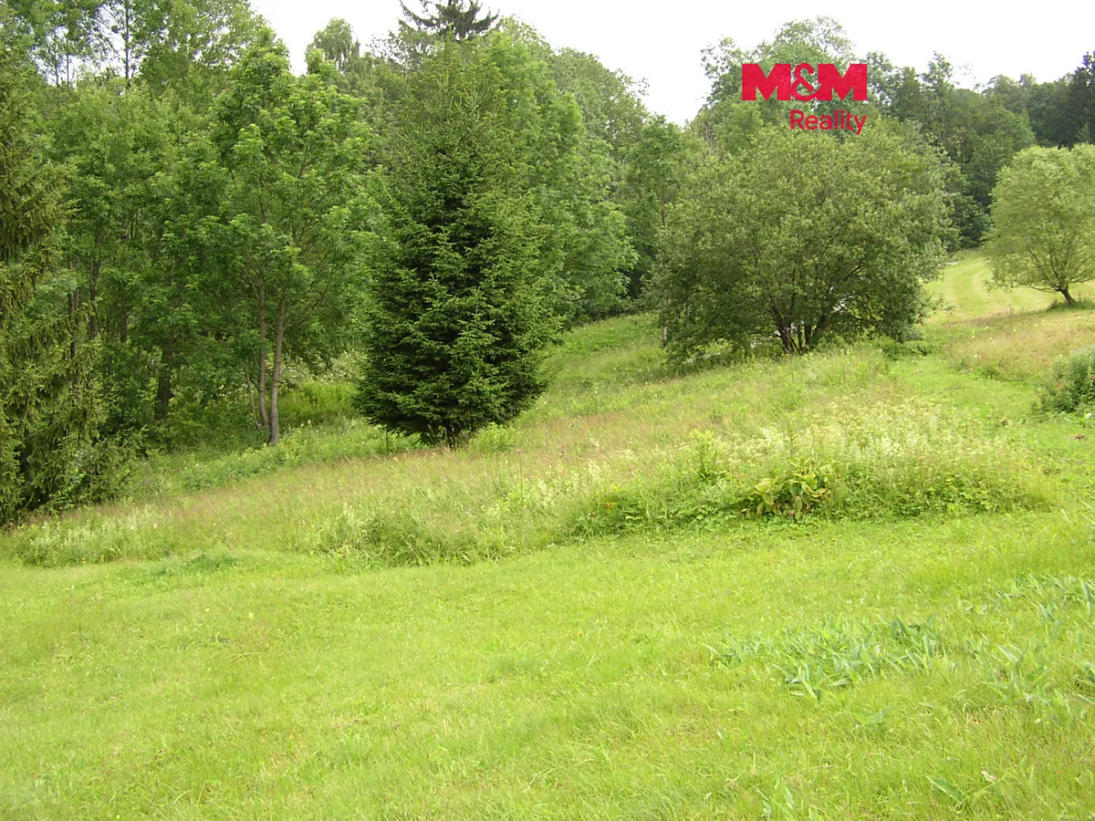 Prodej louky 4214 m²