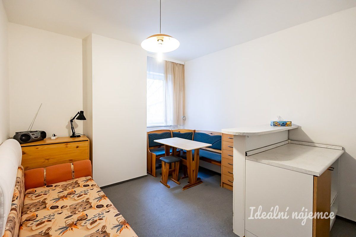 Pronájem bytu 1+1 39 m² – fotografie 3