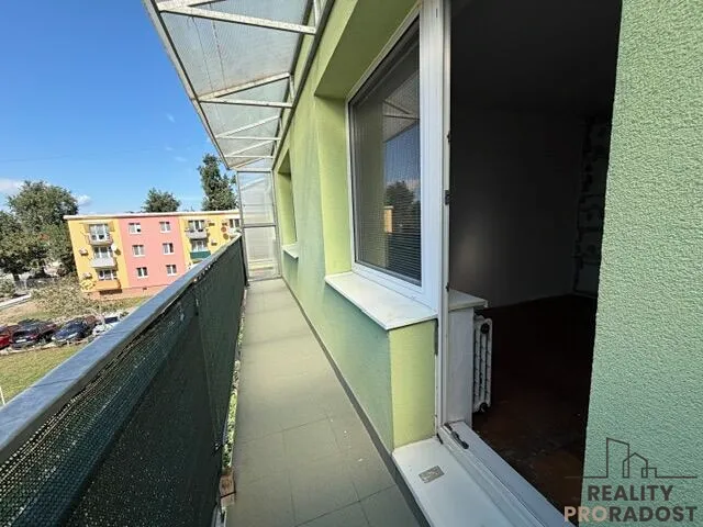 Fotka 7 z 12