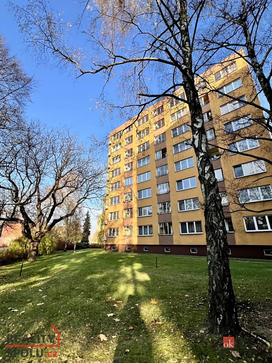 Pronájem bytu 1+1 28 m²