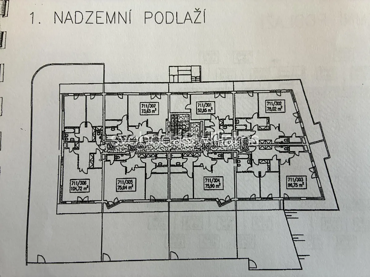Fotka 15 z 16