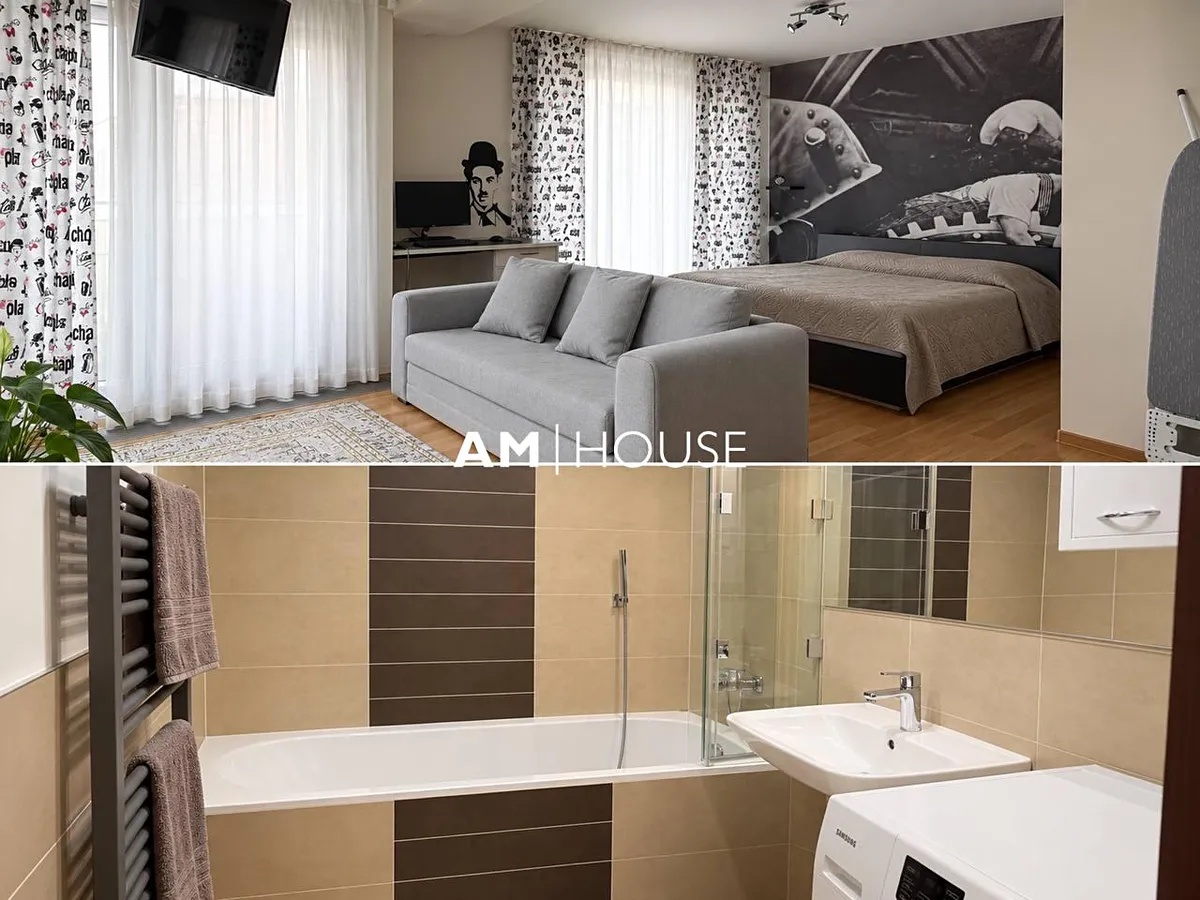 Pronájem bytu 1+kk 45 m²