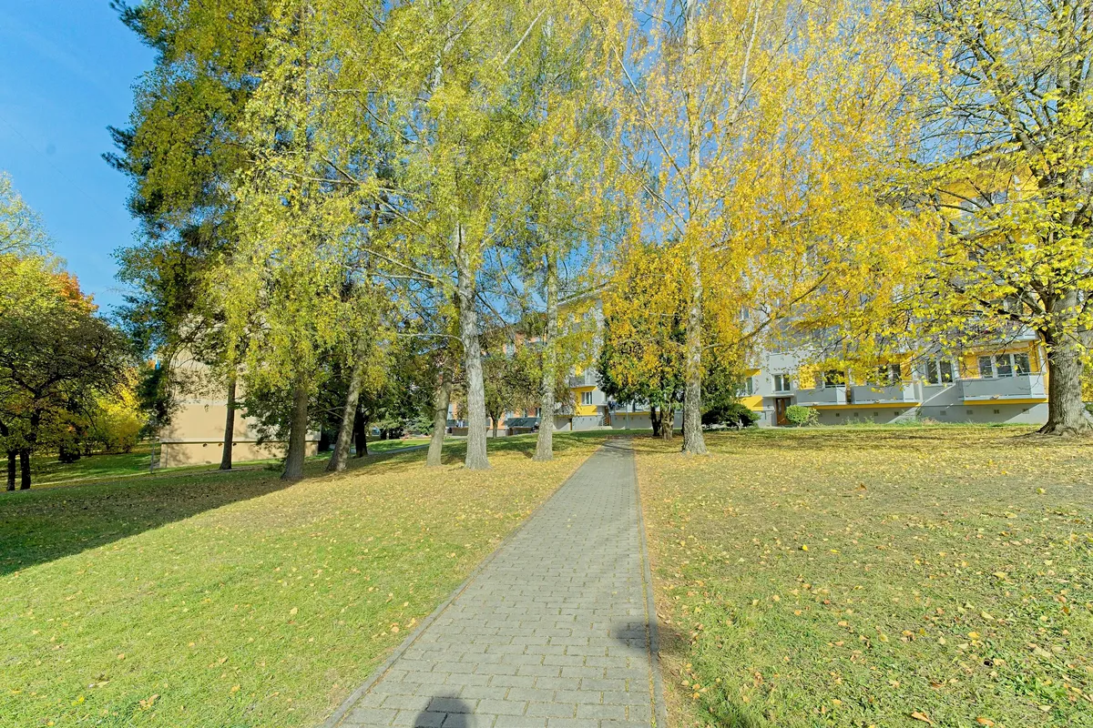 Fotka 10 z 15