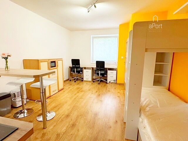 Pronájem bytu 1+kk 29 m² – fotografie 4