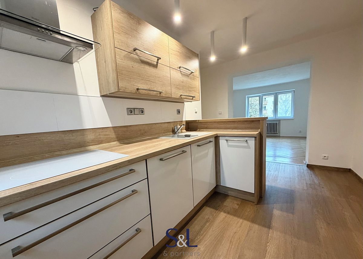 Pronájem bytu 2+1 51 m² – fotografie 3