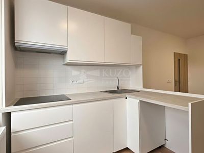 Pronájem bytu 2+1 49 m²