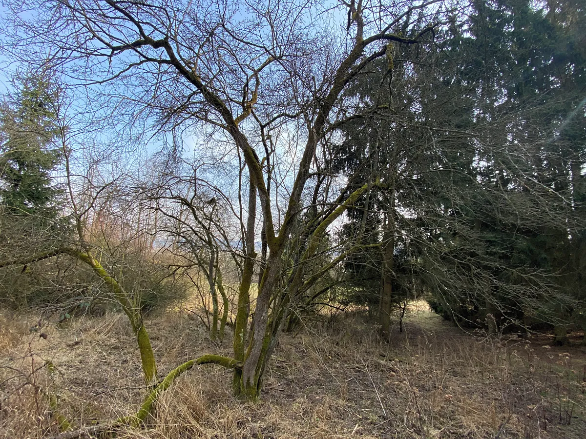 Fotka 12 z 20