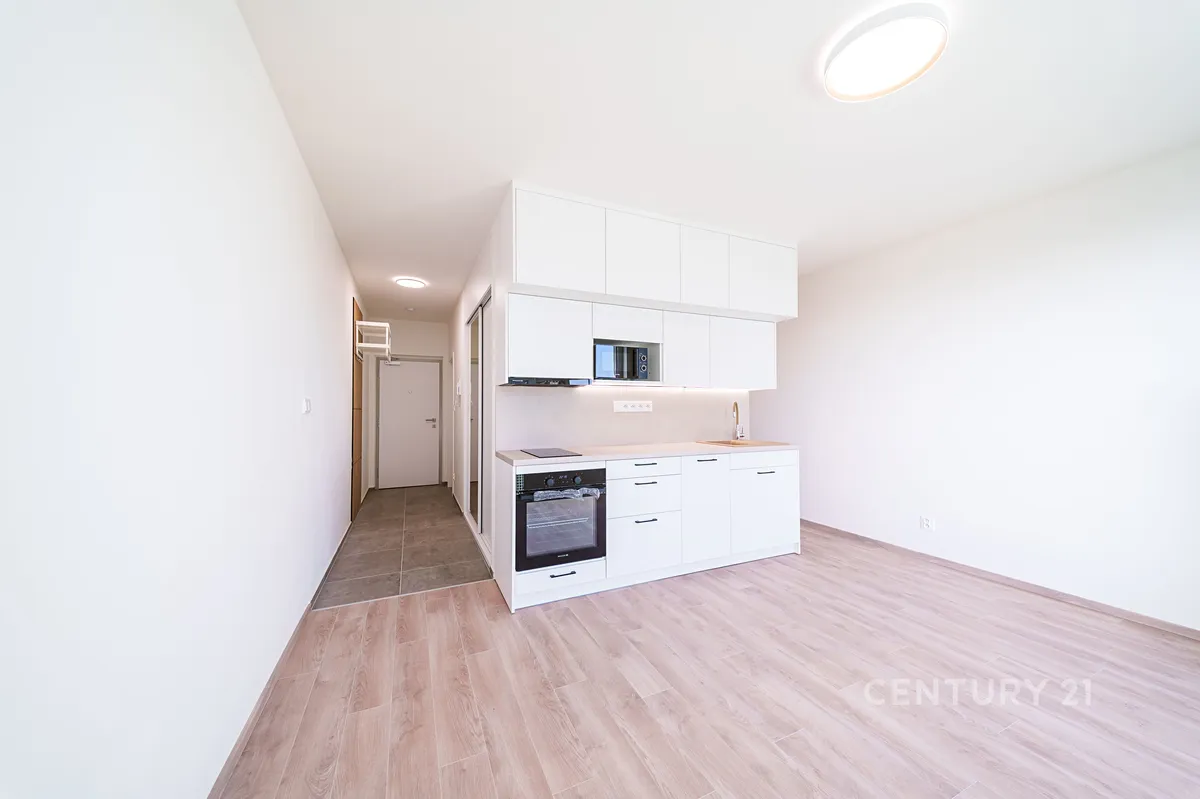 Pronájem bytu 1+kk 36 m²