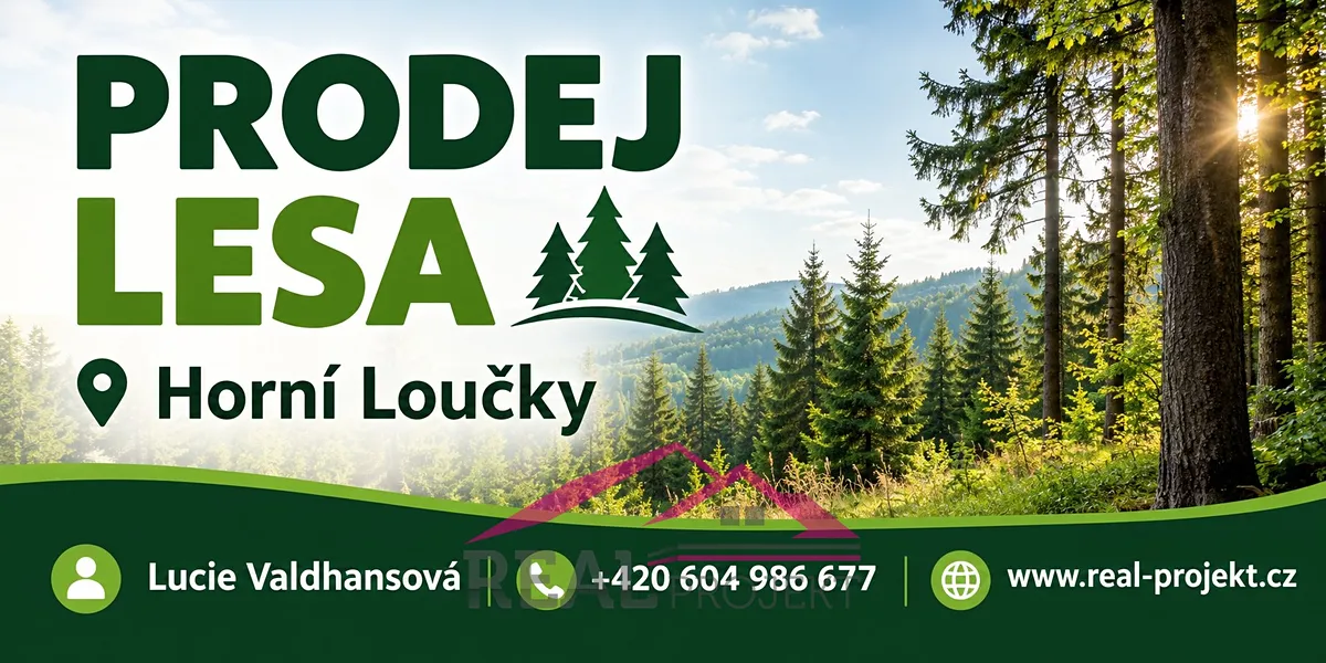 Prodej lesa 9906 m²