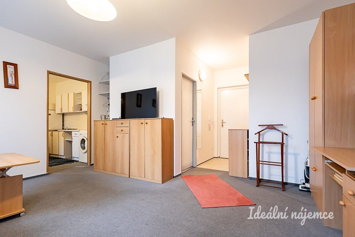 Pronájem bytu 1+1 39 m² – fotografie 4