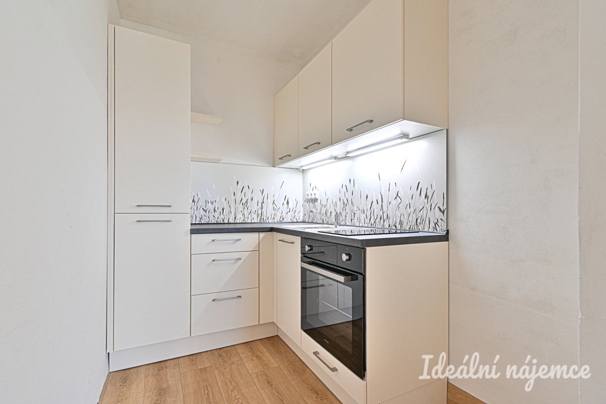 Pronájem bytu 2+kk 46 m²