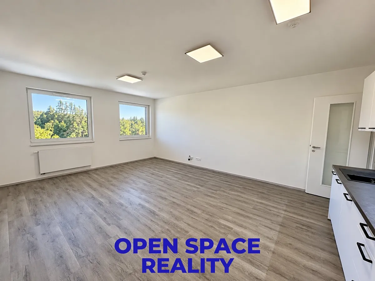 Pronájem bytu 2+kk 64 m²
