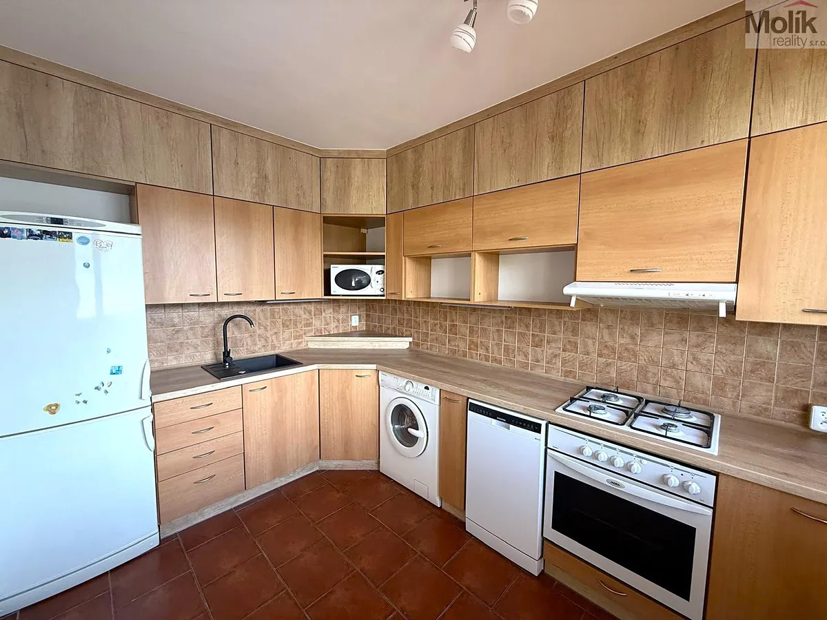 Pronájem bytu 3+1 55 m²