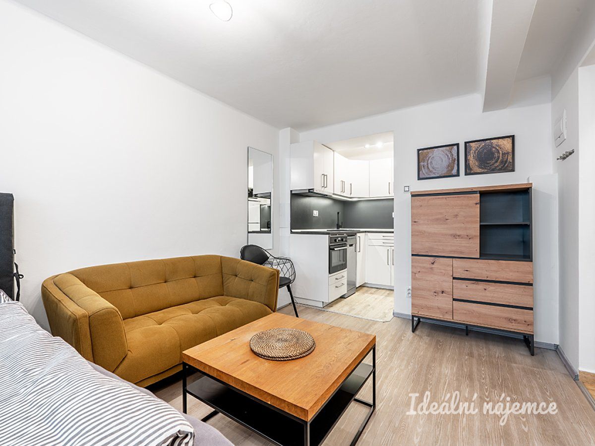 Pronájem bytu 1+kk 24 m² – fotografie 4
