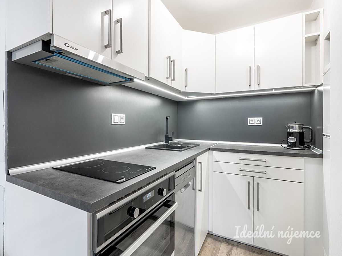 Pronájem bytu 1+kk 24 m² – fotografie 5