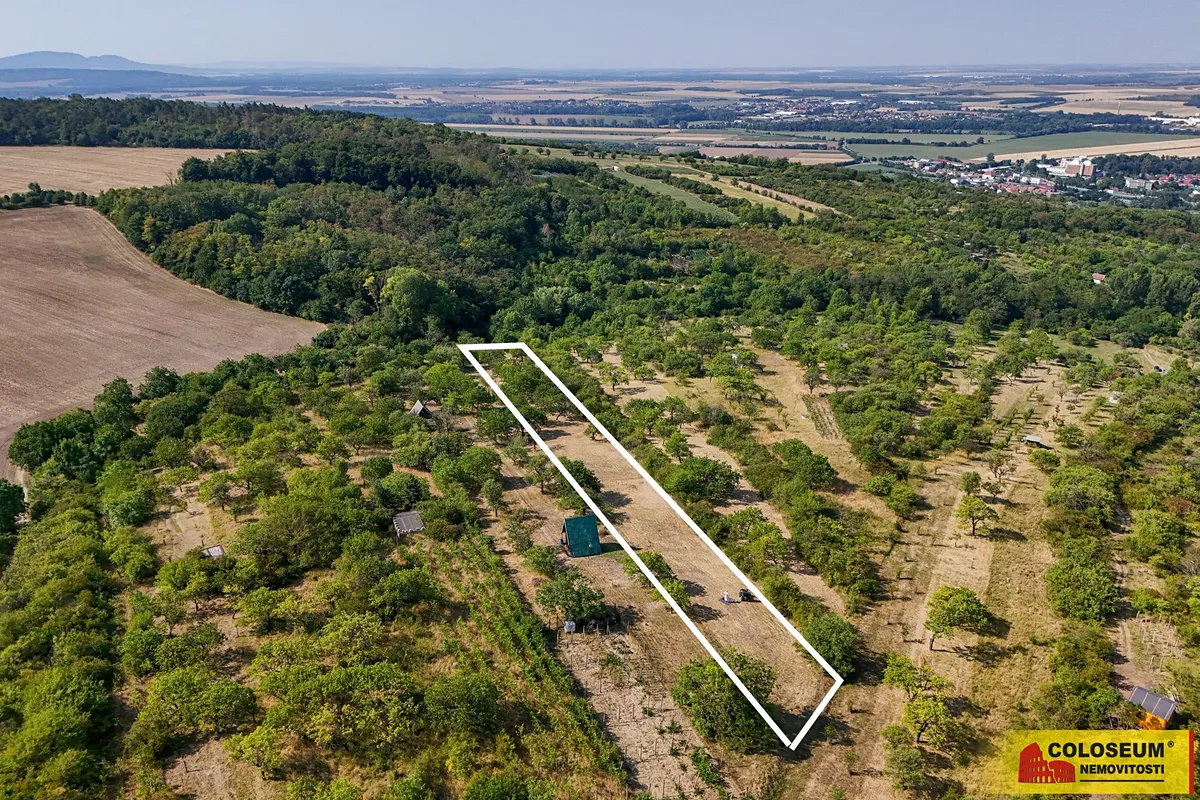 Prodej sadu, vinice 4149 m²