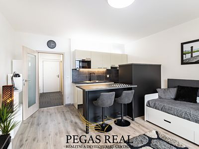 Pronájem bytu 1+kk 33 m²