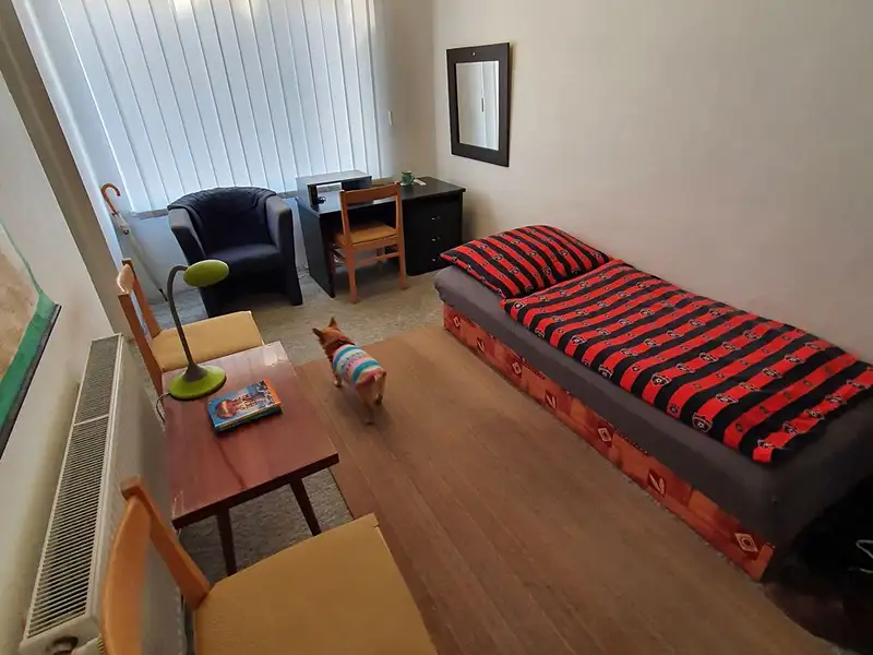 Pronájem bytu pokoje 22 m², Brno – náhled fotky 2