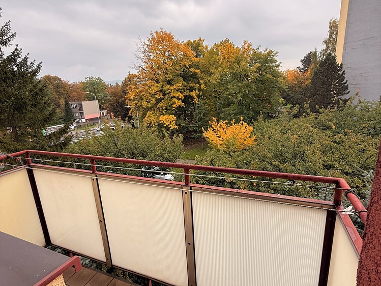 Pronájem bytu 2+1, 58 m² (11 z 12)
