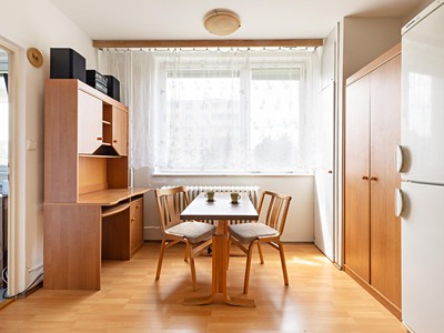 Pronájem bytu 1+1, 30 m² (3 z 12)