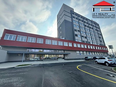 Pronájem komerčního prostoru, 800 m² (3 z 20)