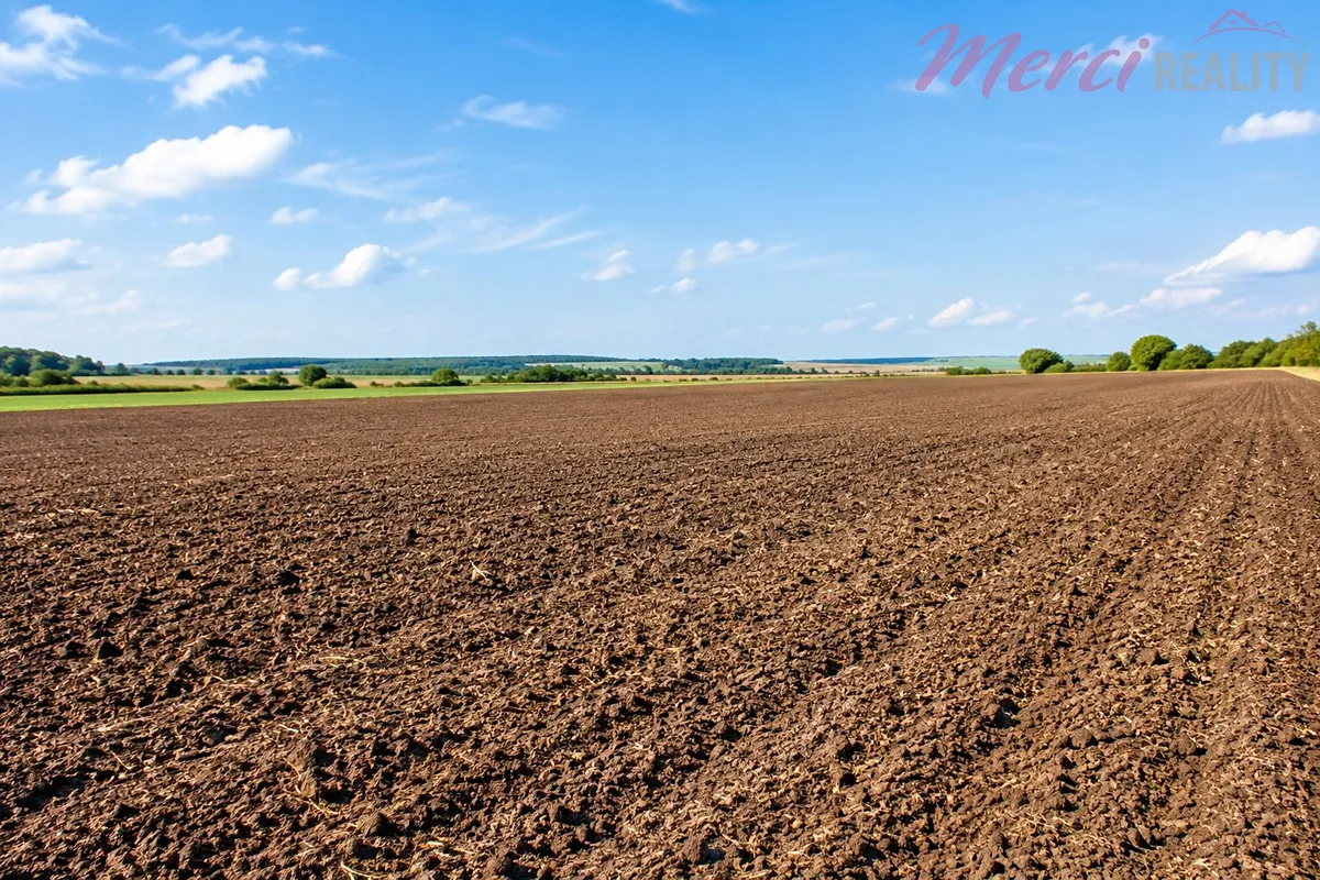 Prodej pole 48525 m²