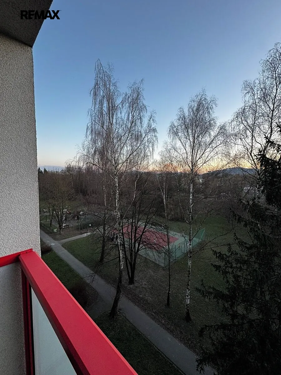 Fotka 3 z 19
