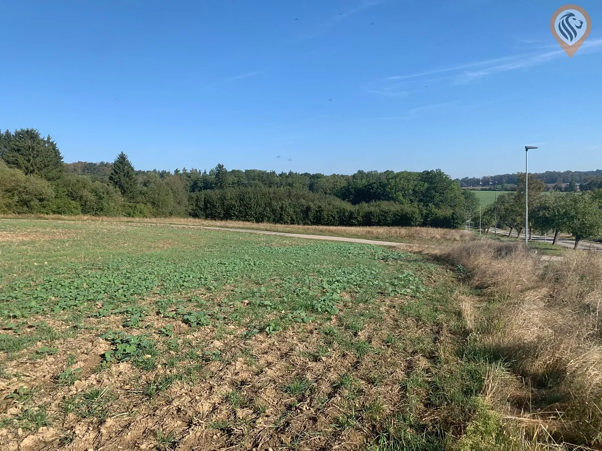 Prodej stavebního pozemku 9675 m²