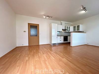 Prodej bytu 1+kk, 44 m² (3 z 15)