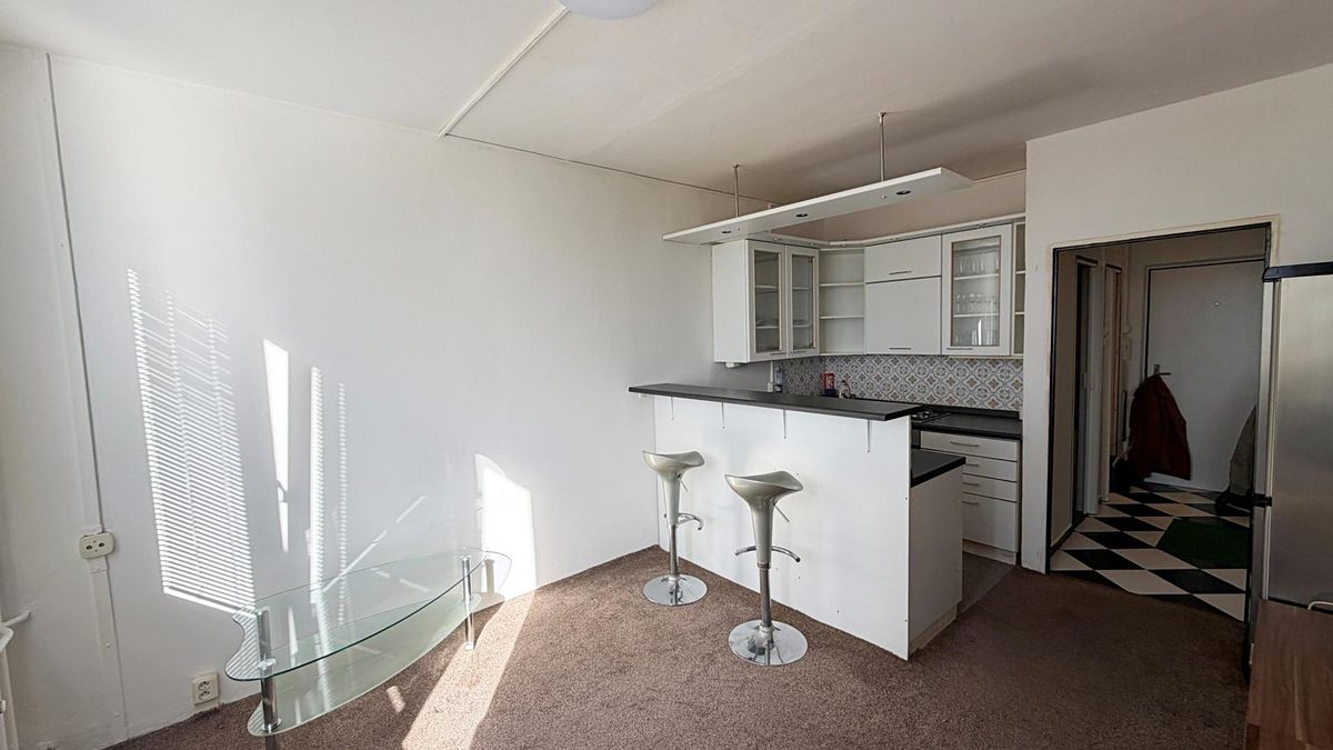 Pronájem bytu 1+kk 24 m² – fotografie 4