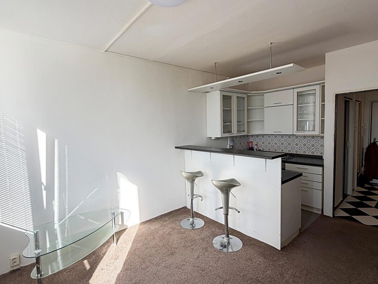 Wohnung 1+kk zur Miete, 24 m² (4 von 16)