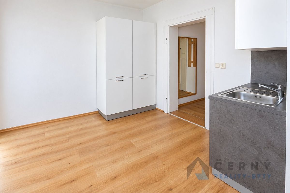 Pronájem bytu 2+1 60 m² – fotografie 4