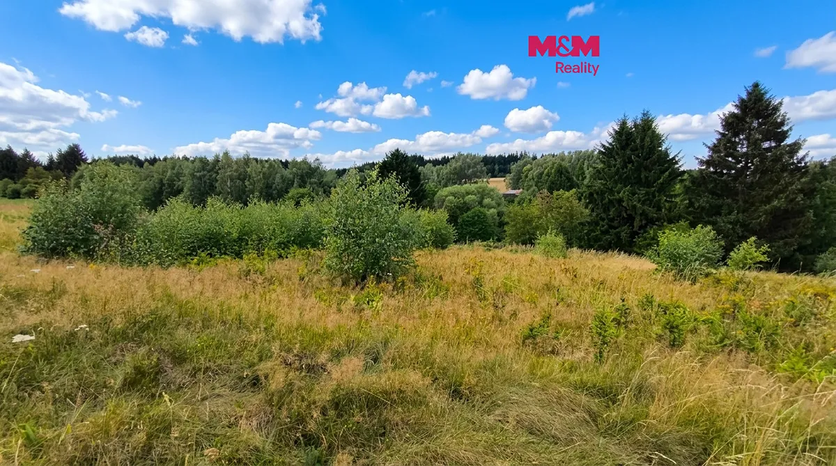 Prodej louky 748 m²