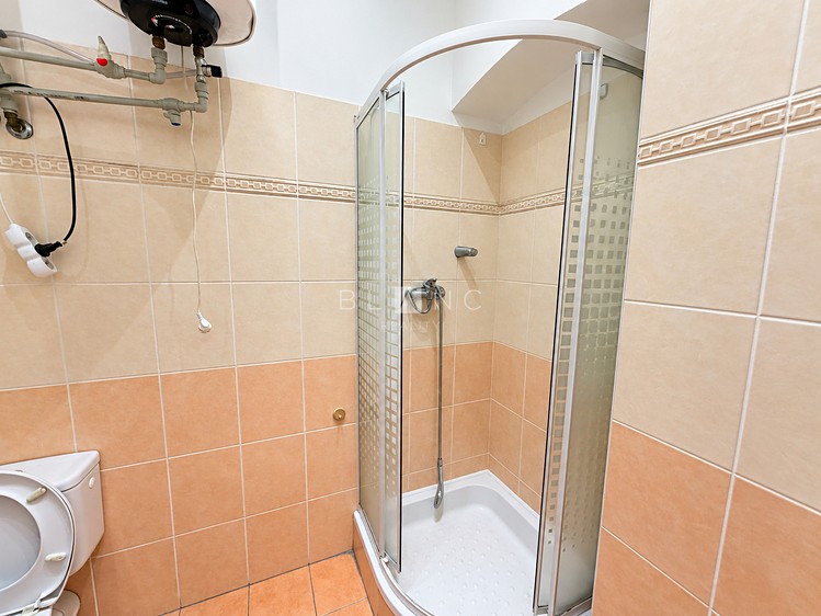 Pronájem komerčního prostoru, 135 m² (12 z 14)