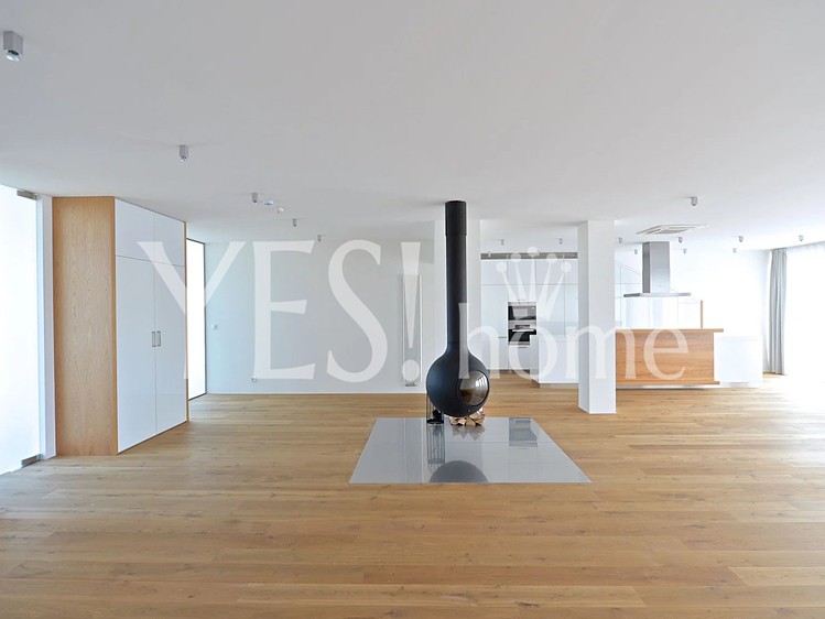 Wohnung 4+kk zur Miete, 229 m² (7 von 30)