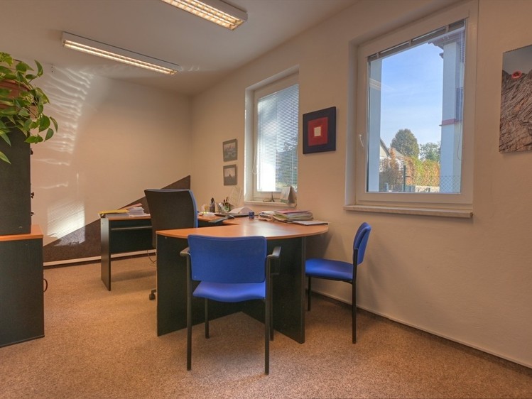 Prodej komerčního prostoru, 265 m² (3 z 27)