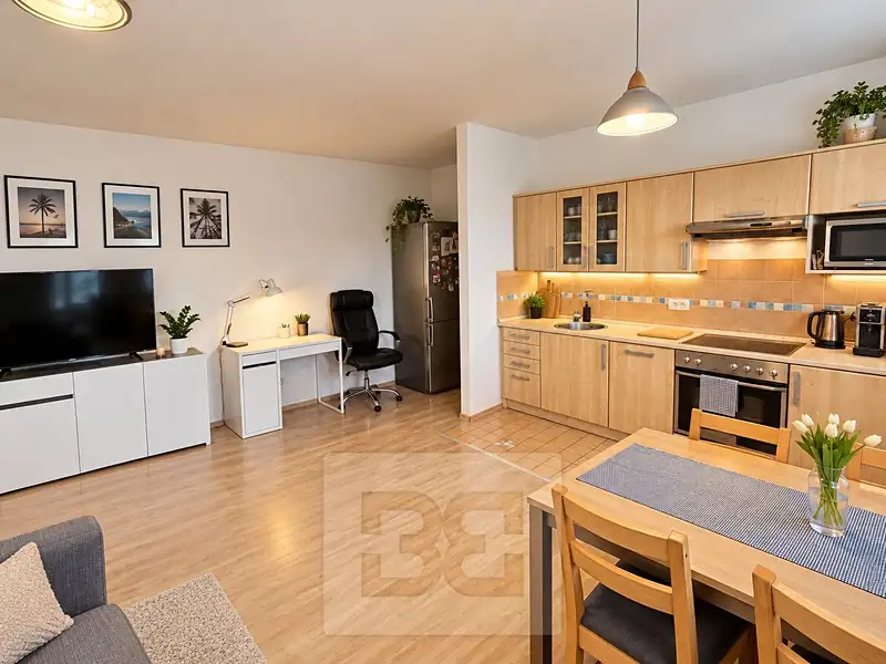 Prodej bytu 2+kk 45 m², Praha – náhled fotky 1