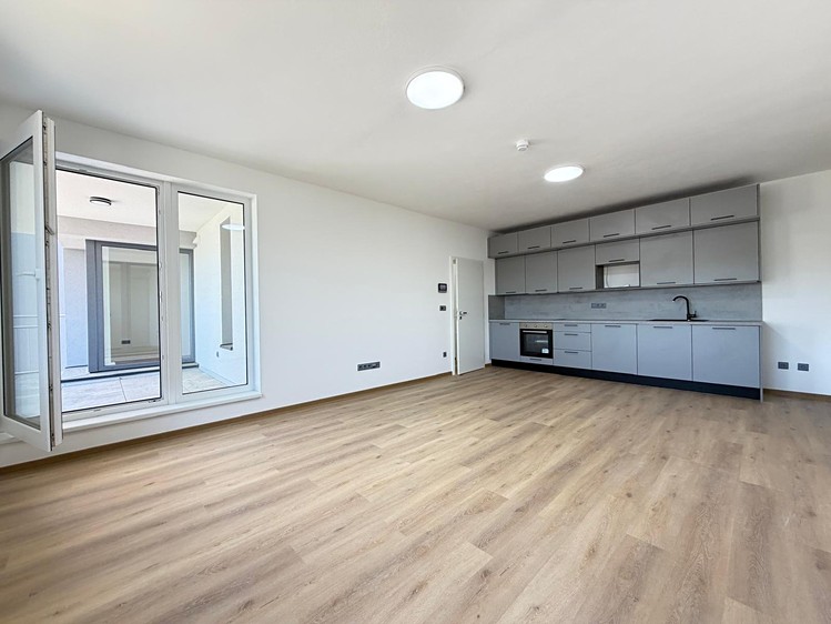 Pronájem bytu 2+kk, 48 m² (1 z 17)