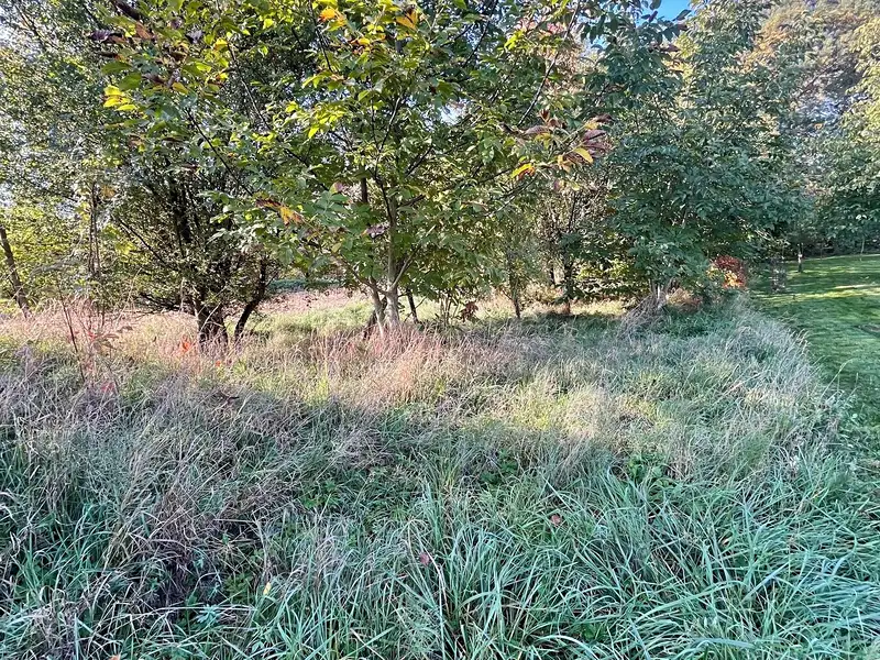 Prodej zahrady 448 m², Veselí nad Moravou – náhled fotky 3