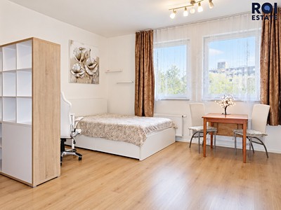 Pronájem bytu 1+kk, 35 m² (3 z 15)