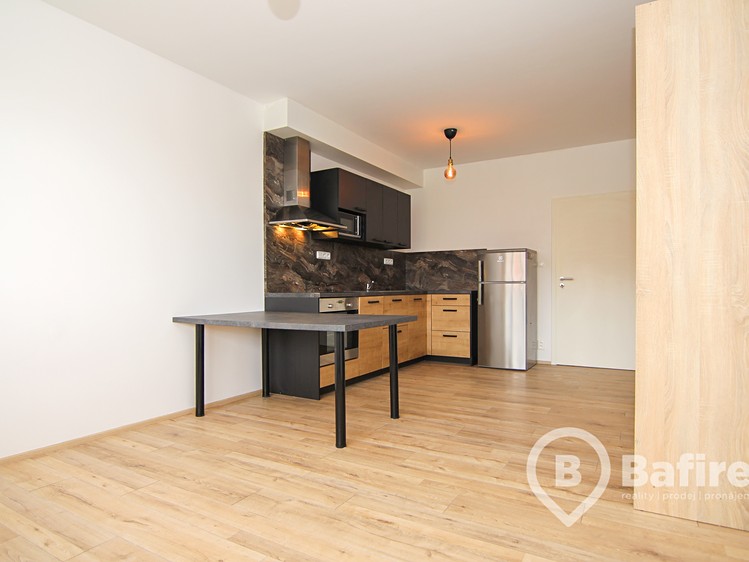 Квартира 1+kk в оренду, 33 м² (4 з 13)