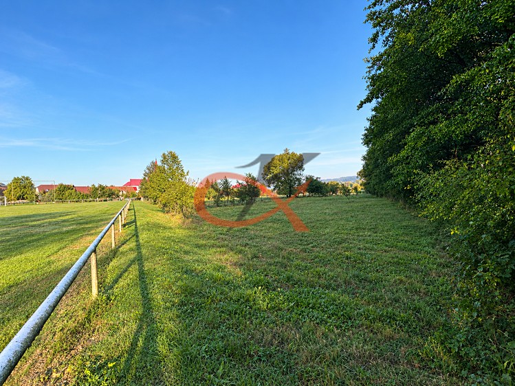 Prodej pozemku, 4 190 m² (4 z 11)