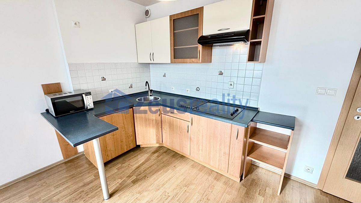 Pronájem bytu 1+kk 44 m²
