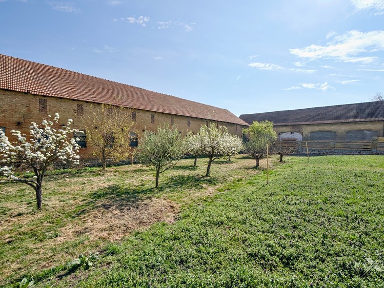 Grundstück zum Kauf, 520 m² (9 von 14)