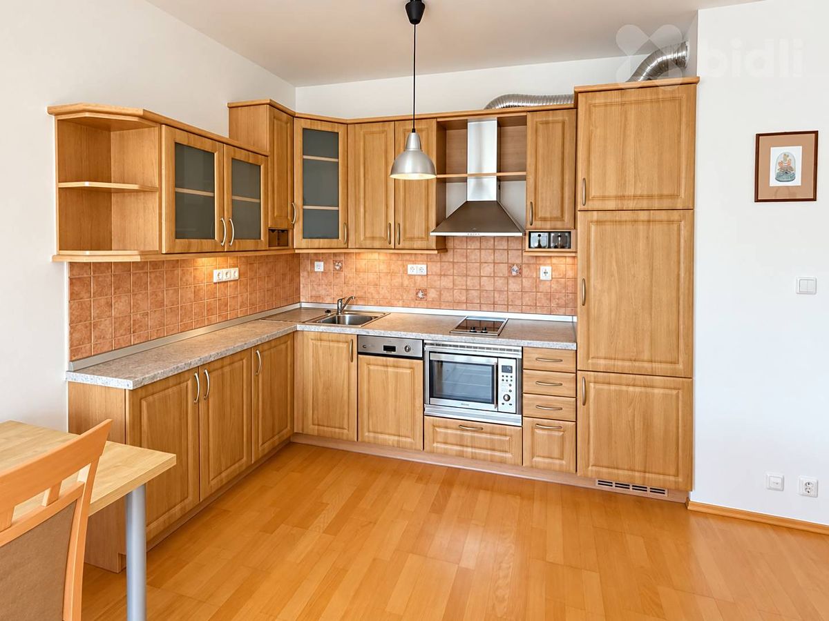 Pronájem bytu 1+kk 48 m²
