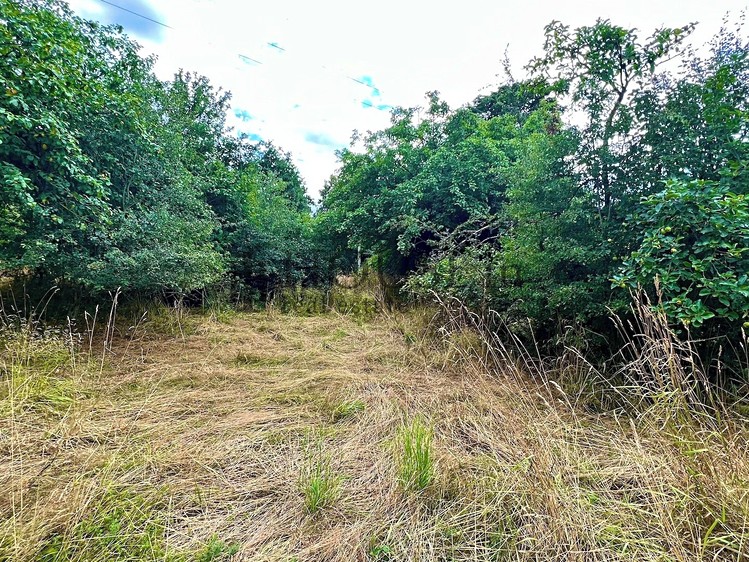 Ділянка на продаж, 2 410 м² (8 з 14)