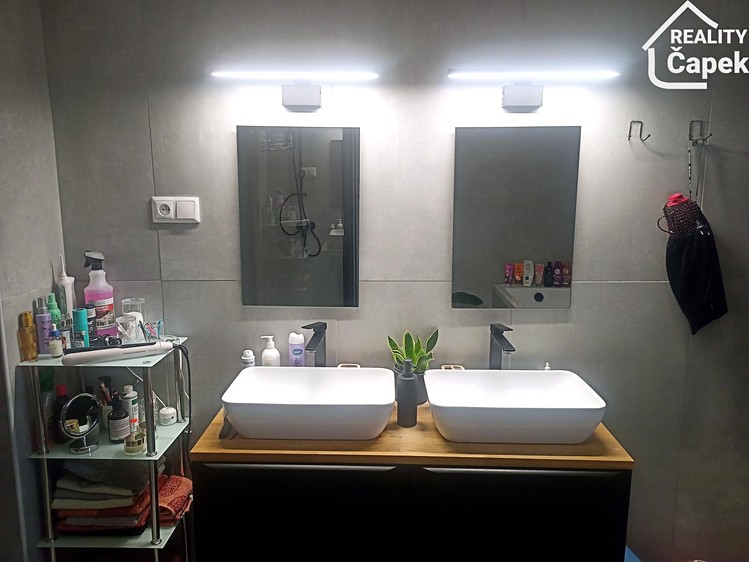 Prodej domu, 282 m² (3 z 22)