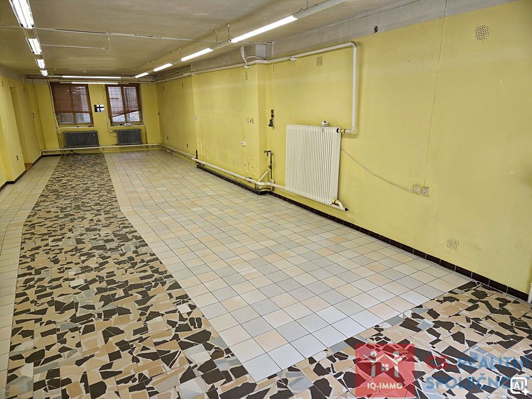 Pronájem komerčního prostoru, 76 m² (6 z 6)