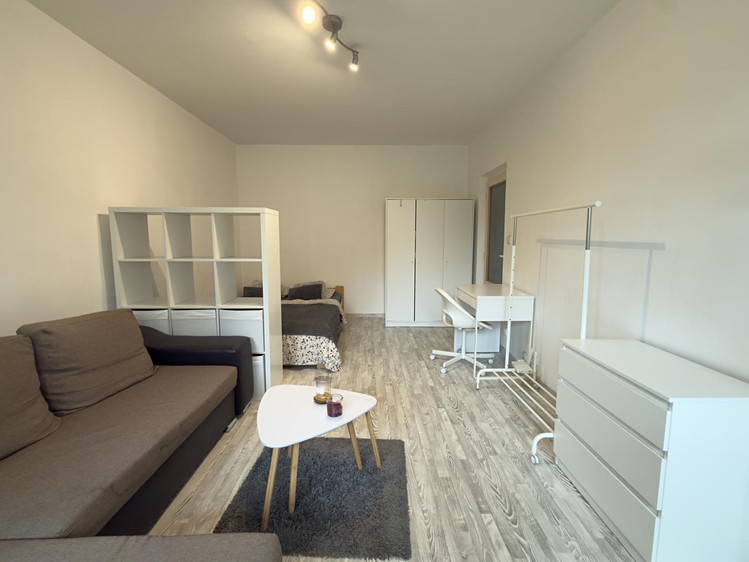 Wohnung 1+1 zur Miete, 45 m² (7 von 15)