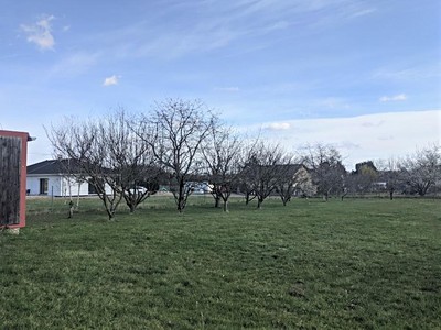 Ділянка на продаж, 511 м² (2 з 6)